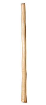 Medium Size Natural Finish Didgeridoo (TW1723)